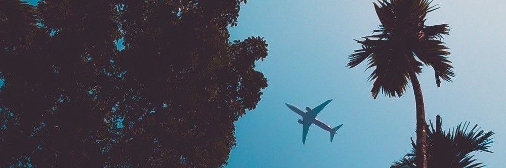 Net🩺 💛🌻 banner