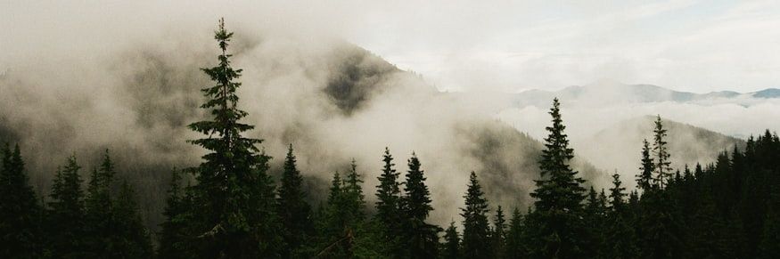 Pratik Dev Das banner