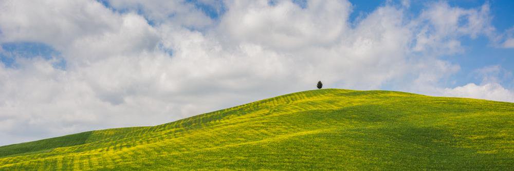 parus28's profile banner image
