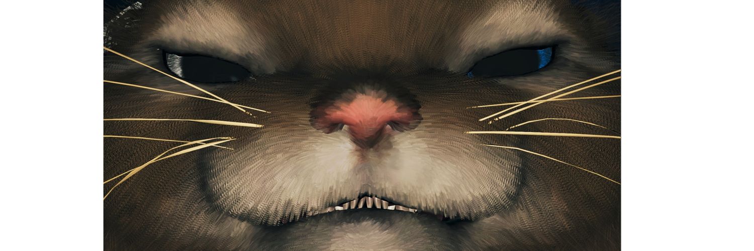 nyaaa____o's profile banner image