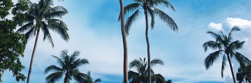 KeriDevinee's profile banner image
