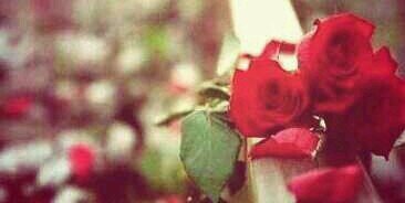 _friendlover's profile banner image