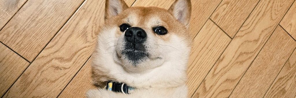 つばき banner