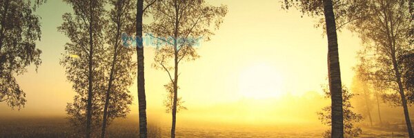 sally07 Profile Banner