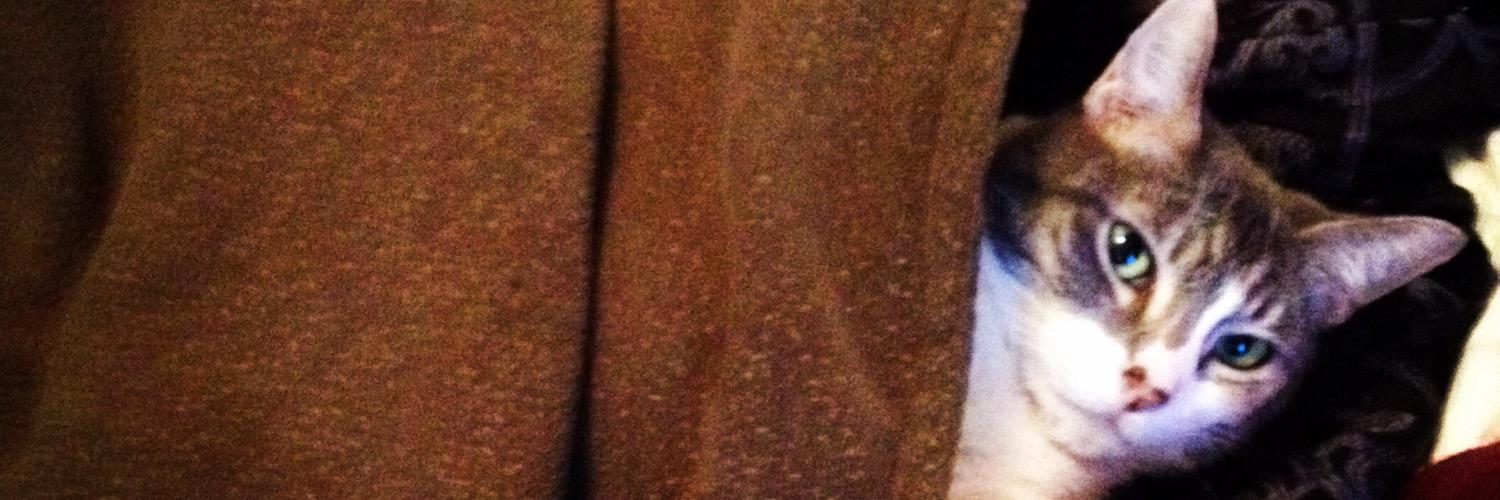 nataliabeth's profile banner image