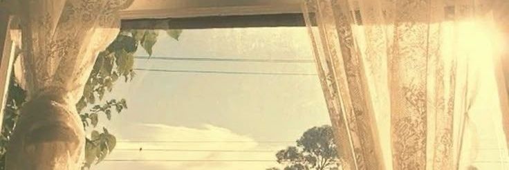 🥭 ˚ ༘♡sᴇᴇᴜ_𓆸 🍋's banner