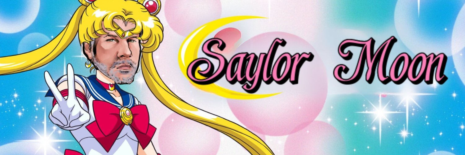 Saylor Moon banner