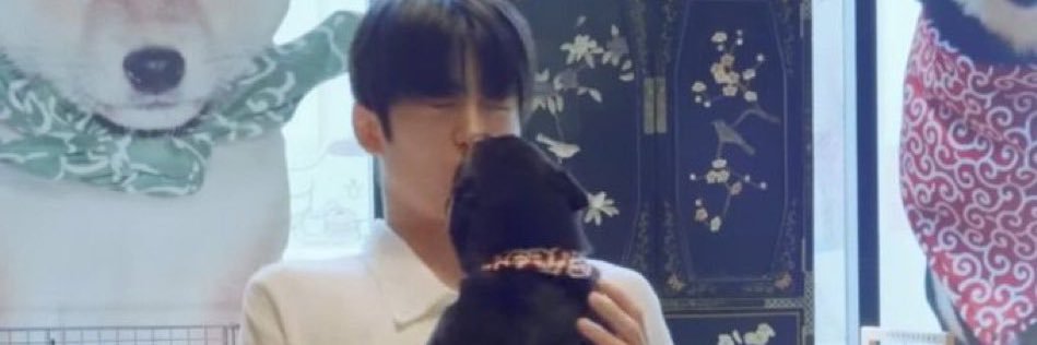 애쉬 banner