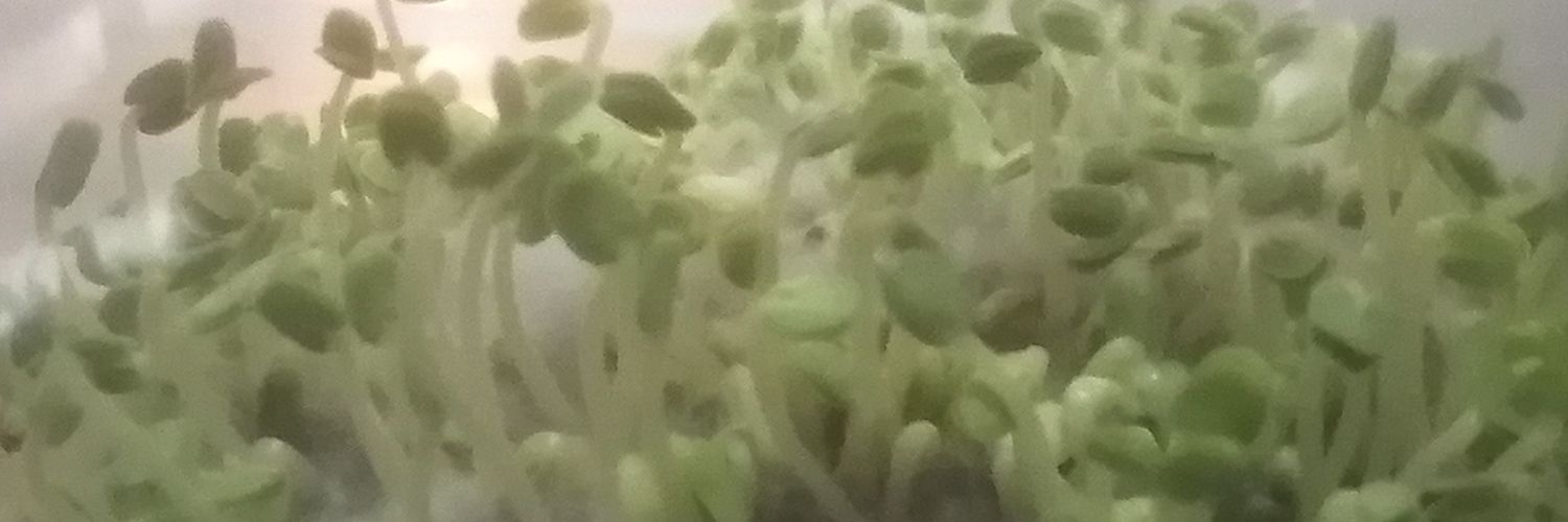 PopeDonPaul's profile banner image