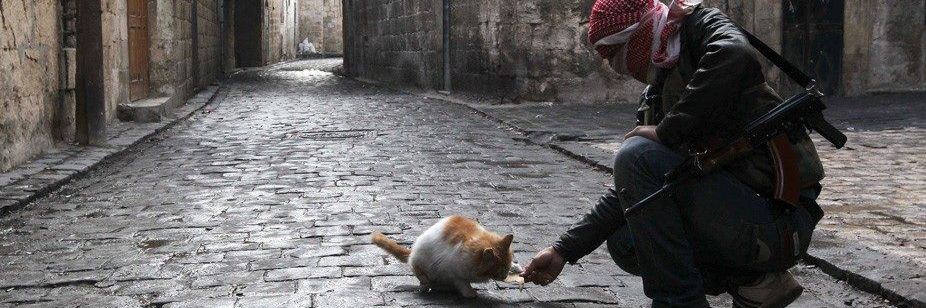 𝙽𝙾𝙵𝚄𝙶𝙰𝚉𝙸 🥀🇵🇸 banner