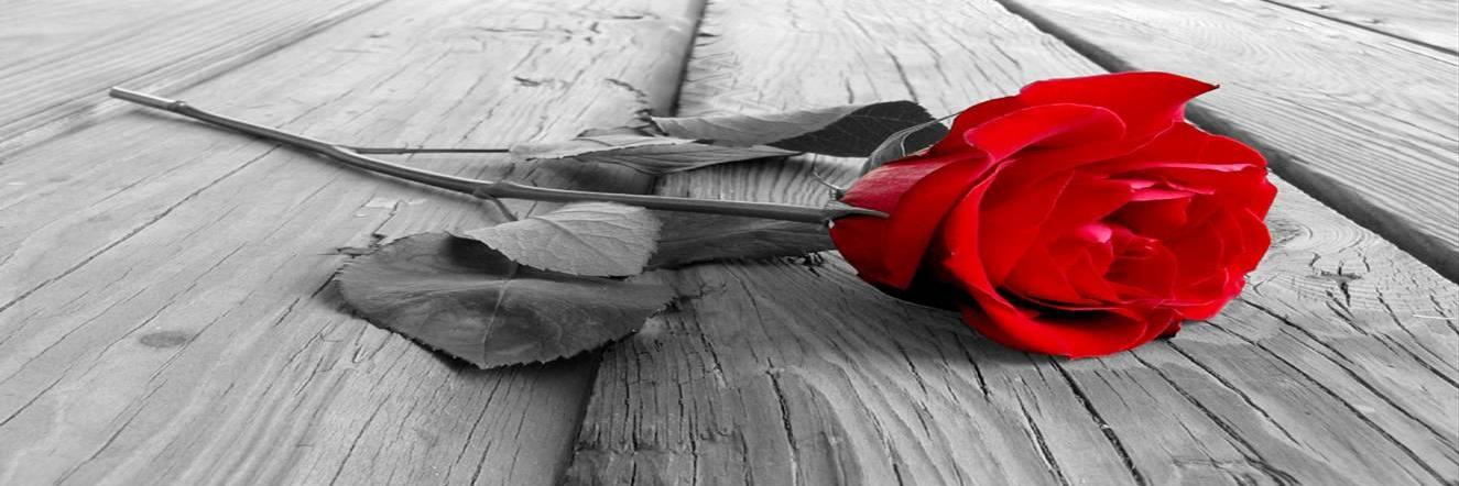 DixiePixie81's profile banner image