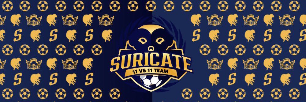 Team Suricate banner