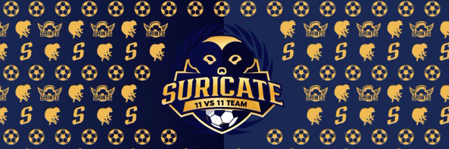 Team Suricate Profile Banner