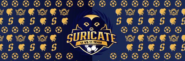 Team_Suricate Profile Banner