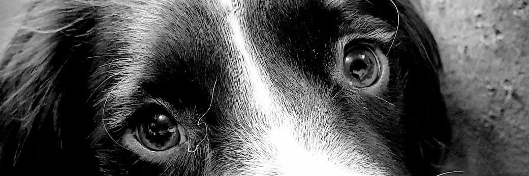 Hilary1966's profile banner image