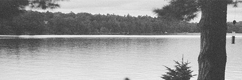 farrenlaen's profile banner image