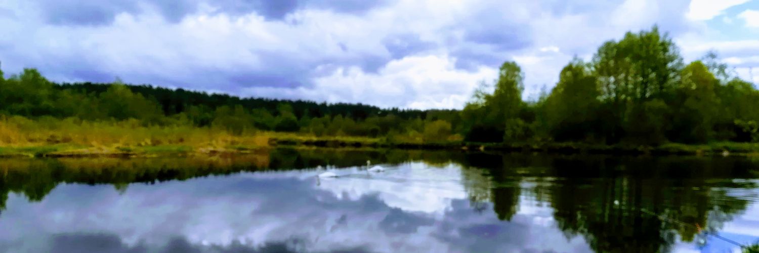 zalklavas1's profile banner image