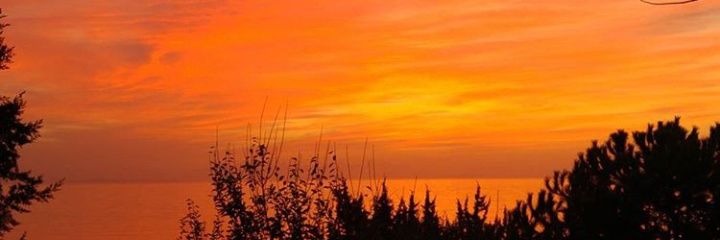defaultserdar's profile banner image