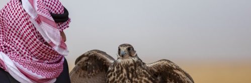 sadda7oo's profile banner image