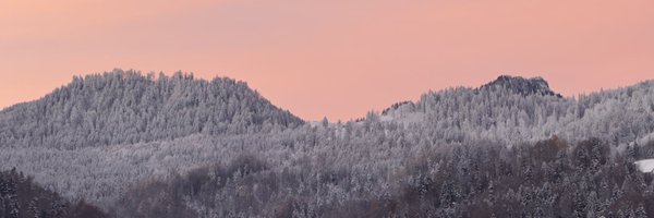 AlonsoMaestroV1 Profile Banner