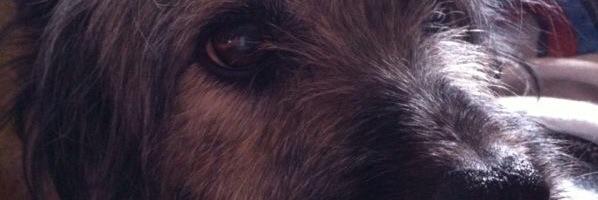 Pablo_Padina's profile banner image