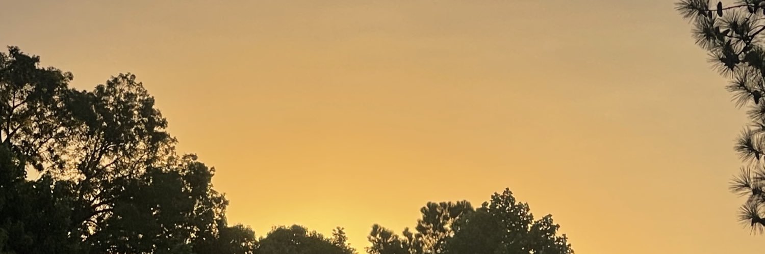 T-Rone banner