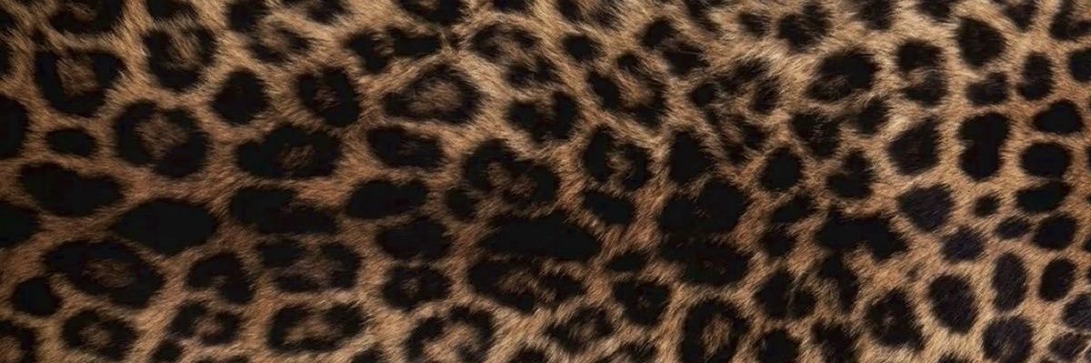 ready4tay's profile banner image
