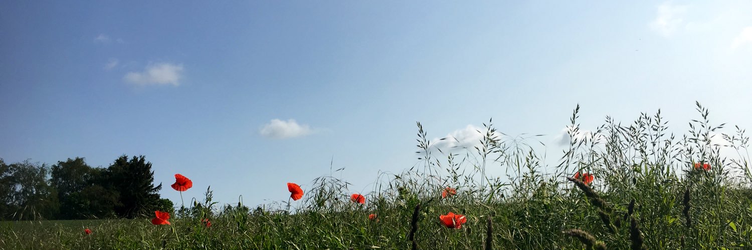 linevisby's profile banner image