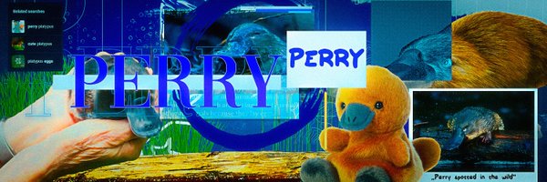 PerryyVal Profile Banner