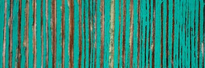 🐻 banner