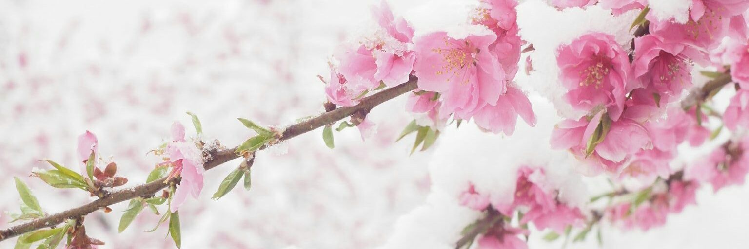 dini_kusumaa's profile banner image