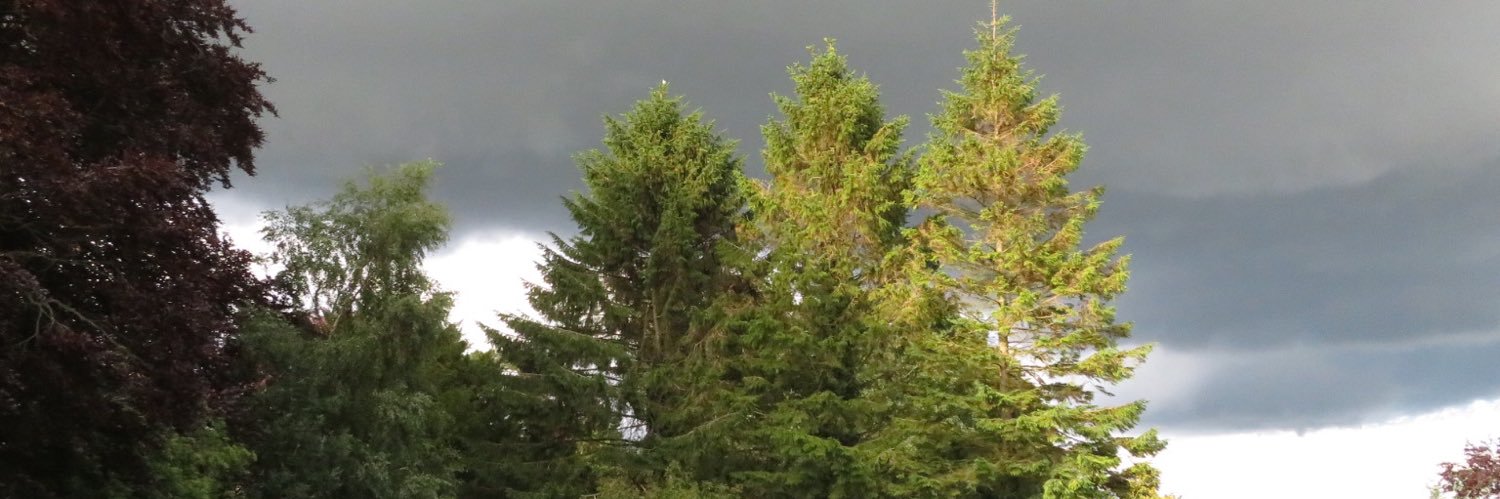 slashermungo's profile banner image