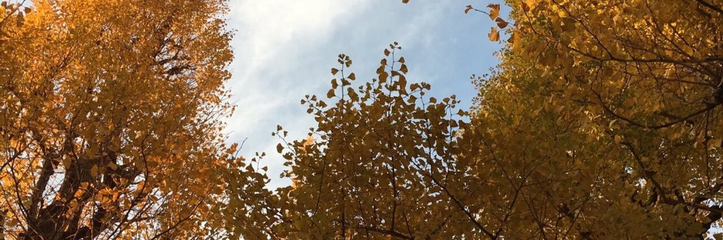 zsed8140's profile banner image