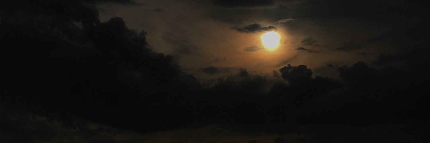 mdiansalempang's profile banner image