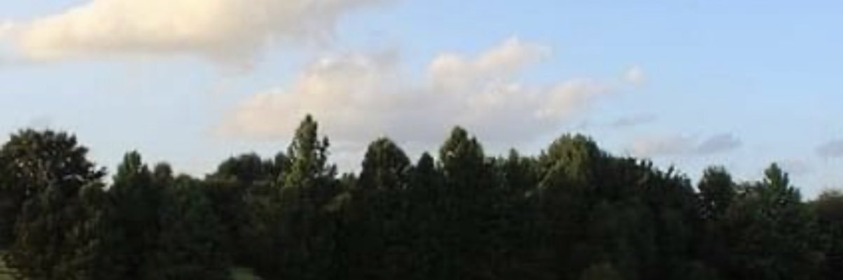 dawnerys will ALWAYS remember january 6, 2021 banner