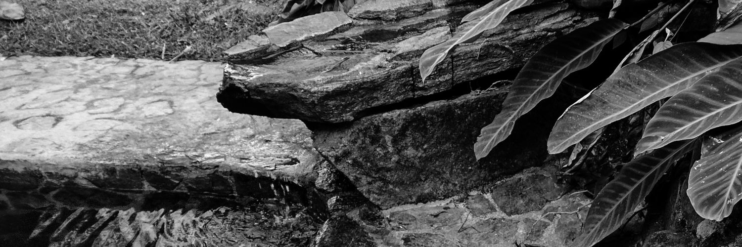 elvalelolo's profile banner image