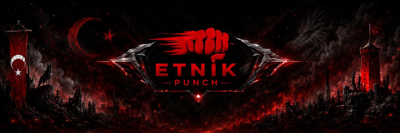 etnikpunch's profile banner image