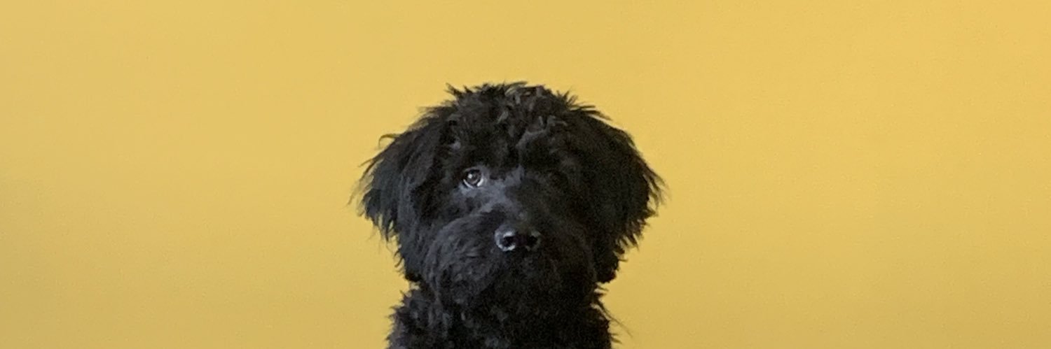 XCourttney's profile banner image