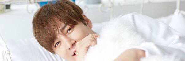 mitsuyo17's profile banner image