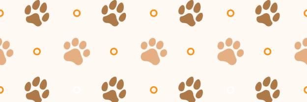 🐾 Chi 🐾 banner