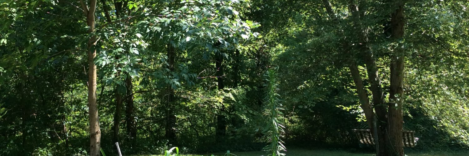 gaintjody banner