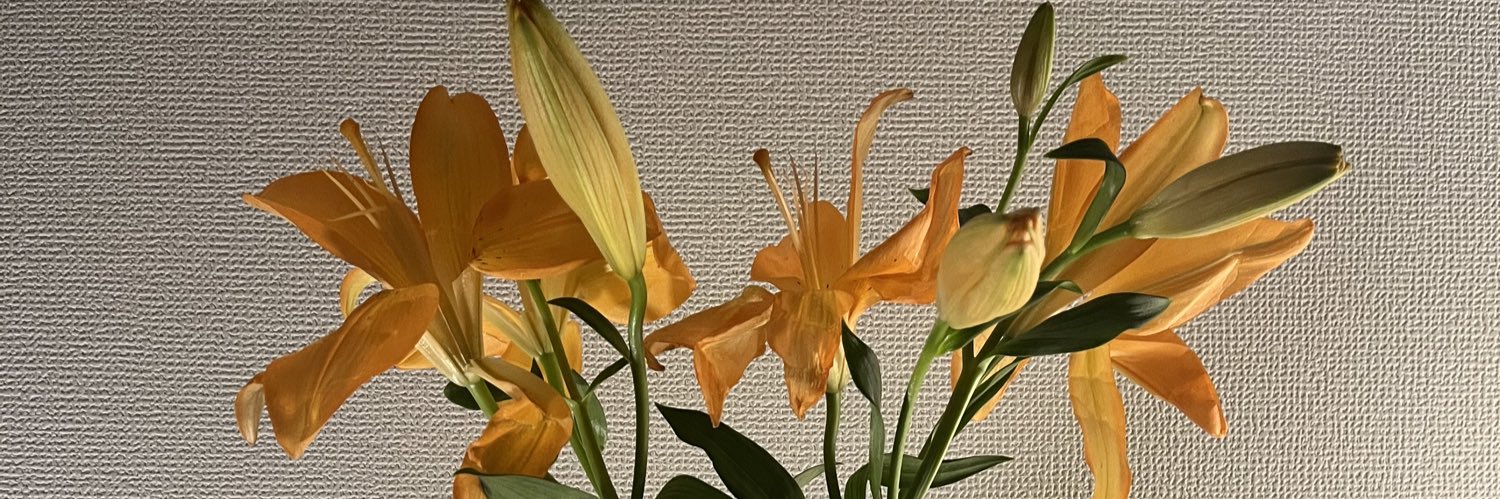 kid_eoc's profile banner image