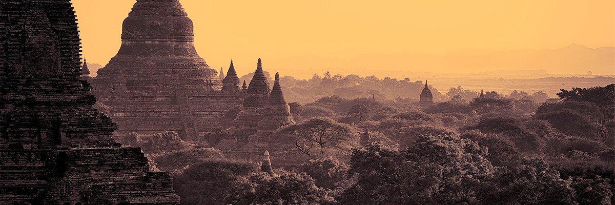 Jos Quaedvlieg banner