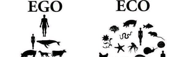 Mohammad Kermani banner