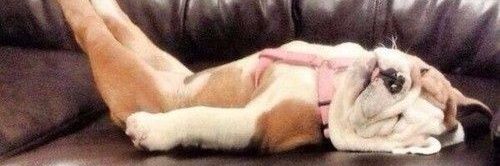 rosiestwocheeks's profile banner image