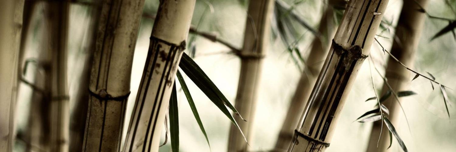 igorbellino's profile banner image