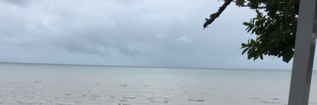pipsqueak_1962's profile banner image