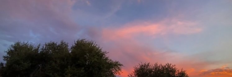 leanndamon's profile banner image