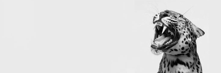 𝔞's banner