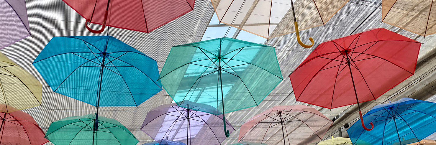 ひとみ☺︎🦖40w5d→8m banner